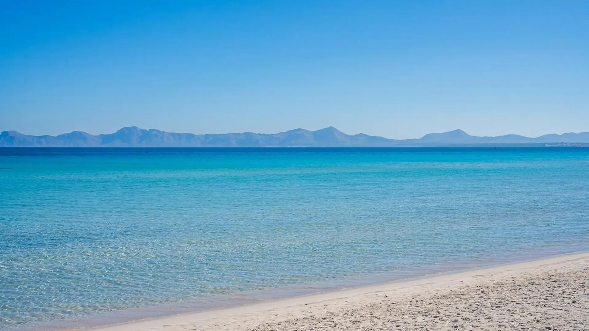 Apartment In Alcudia With Terrace